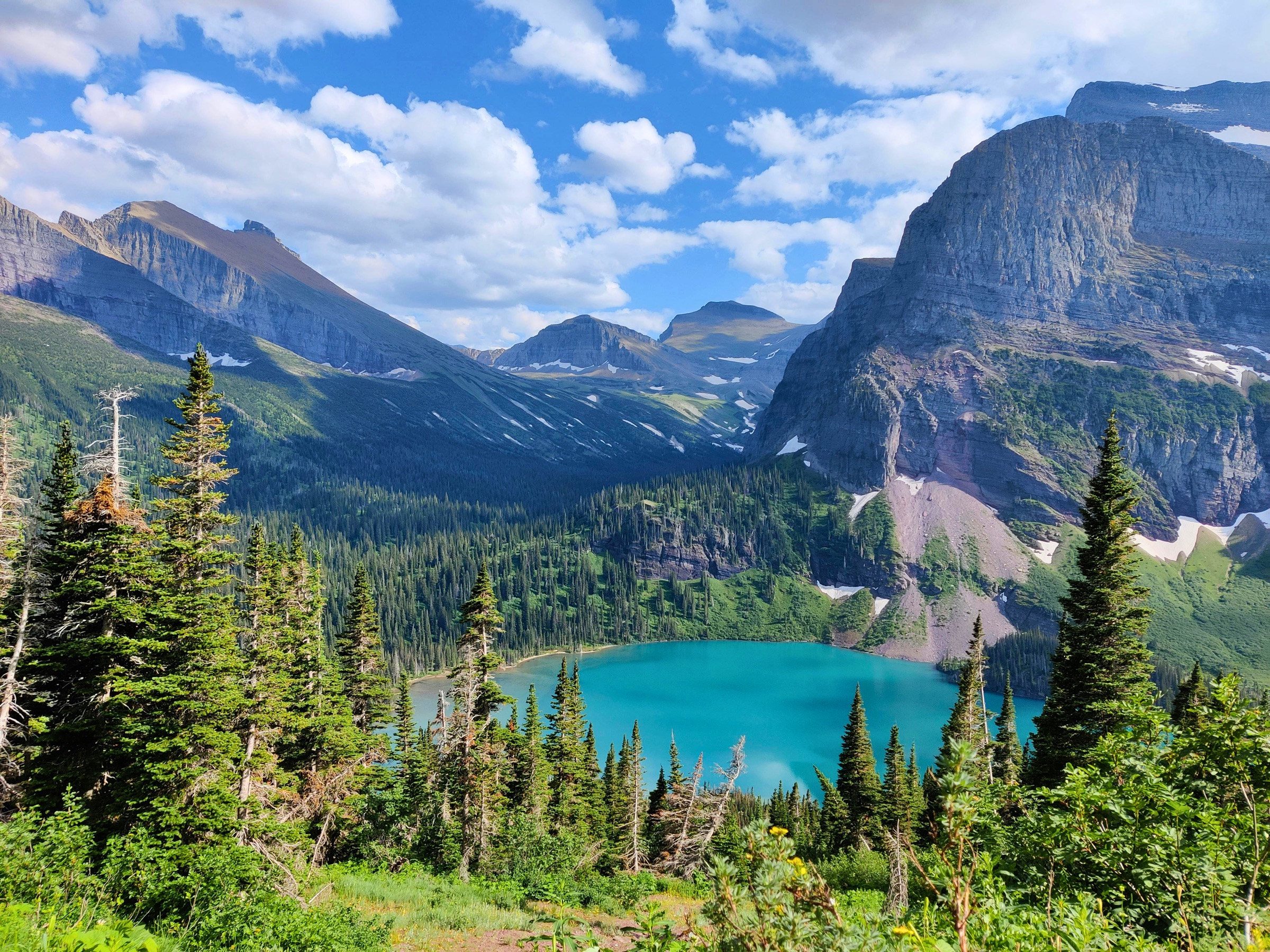 Montana landscape